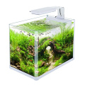 Großhandel sobo einzigartiges kleines Mini-Glas-Aquarium-Zubehör Aquarium